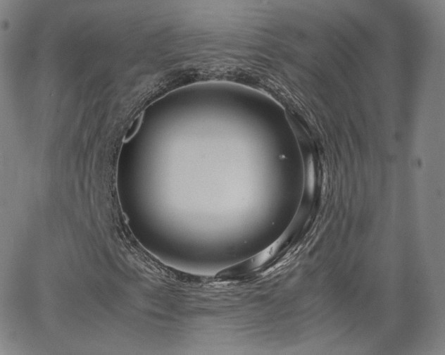 X0000063521153200601201426