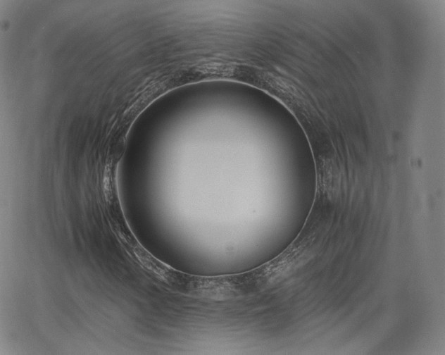 X0000063521154200601201426