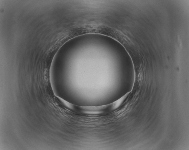 X0000063521156200601201426