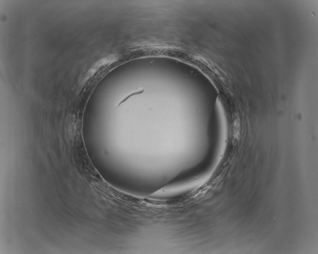 X0000063521157200601201426