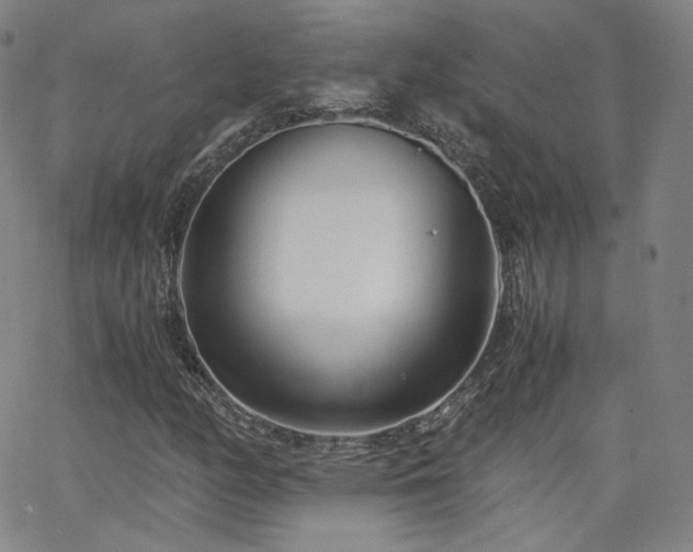 X0000063521158200601201426