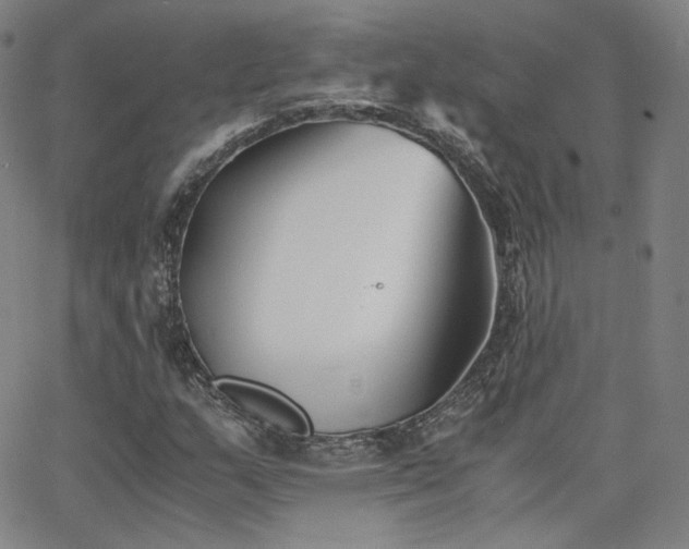 X0000063521159200601201426