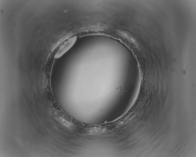 X0000063521160200601201426