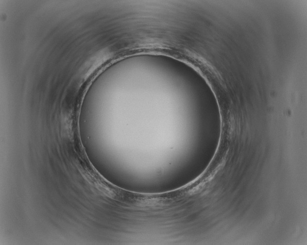 X0000063521162200601201425