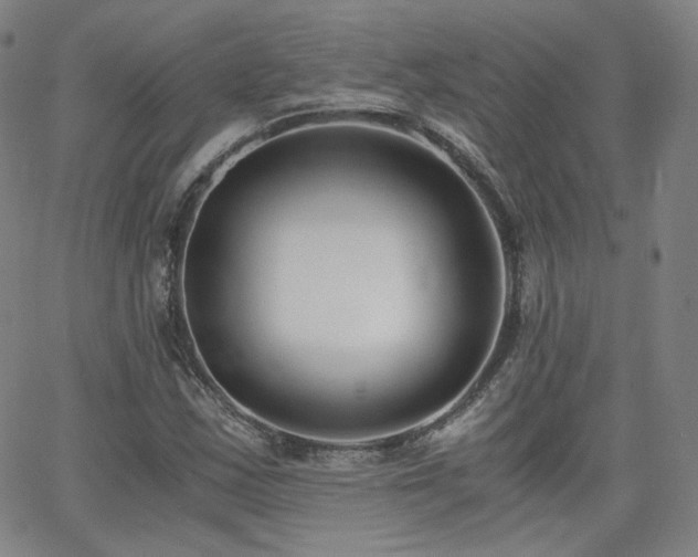 X0000063521163200601201425