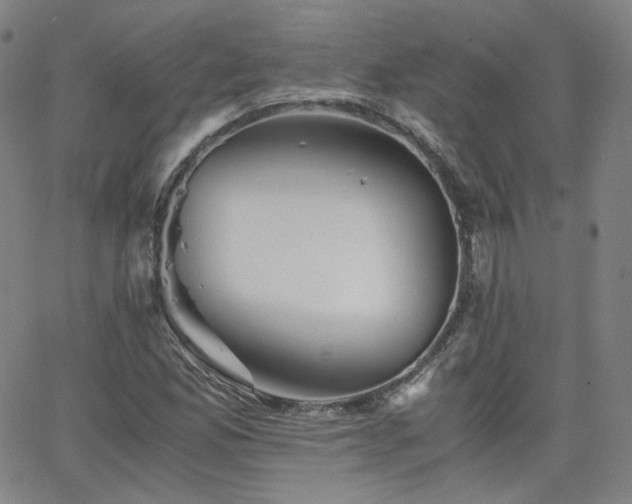 X0000063521165200601201425