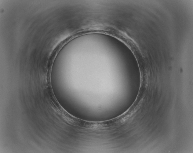 X0000063521166200601201425