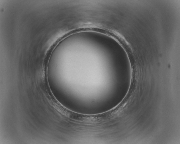 X0000063521167200601201425