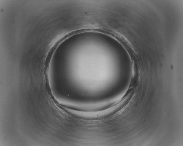 X0000063521168200601201425