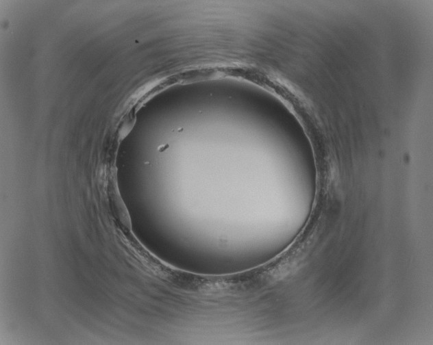 X0000063521169200601201425