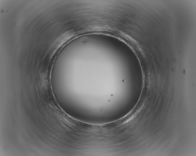 X0000063521170200601201425