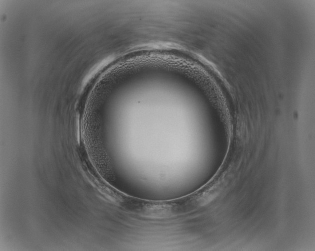 X0000063521171200601201425