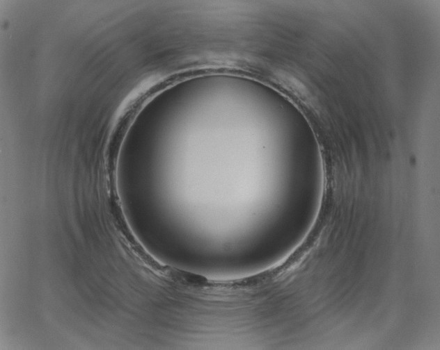 X0000063521172200601201425