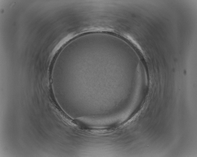 X0000063521173200601201425