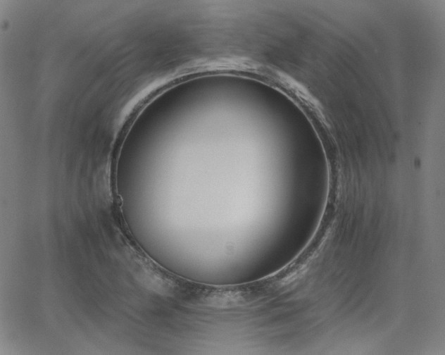 X0000063521174200601201425