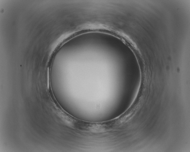 X0000063521175200601201425