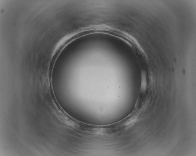 X0000063521176200601201425