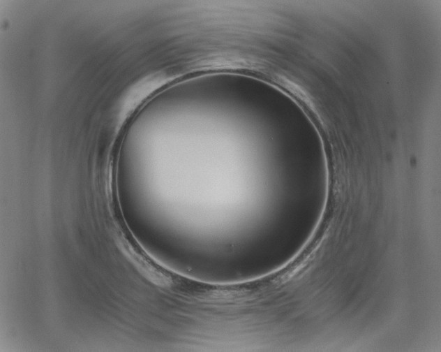 X0000063521179200601201425