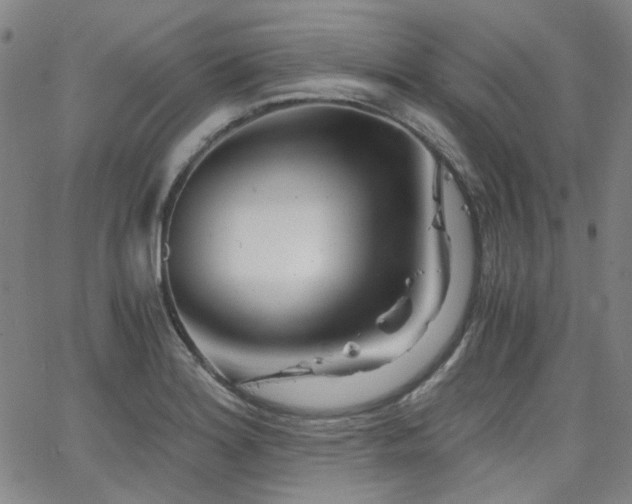 X0000063521180200601201425