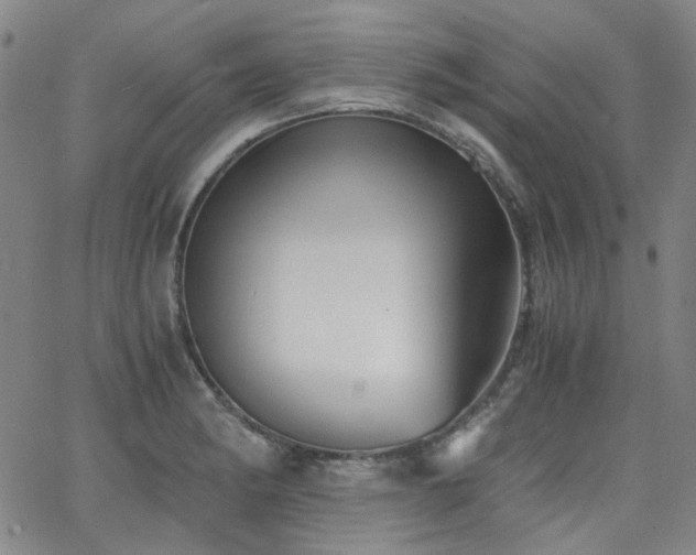 X0000063521182200601201425