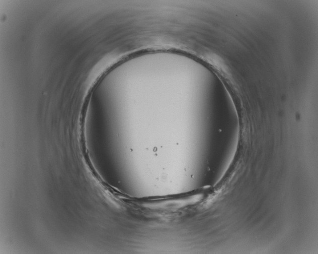 X0000063521183200601201425