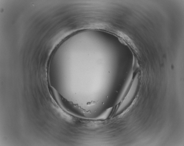 X0000063521184200601201425