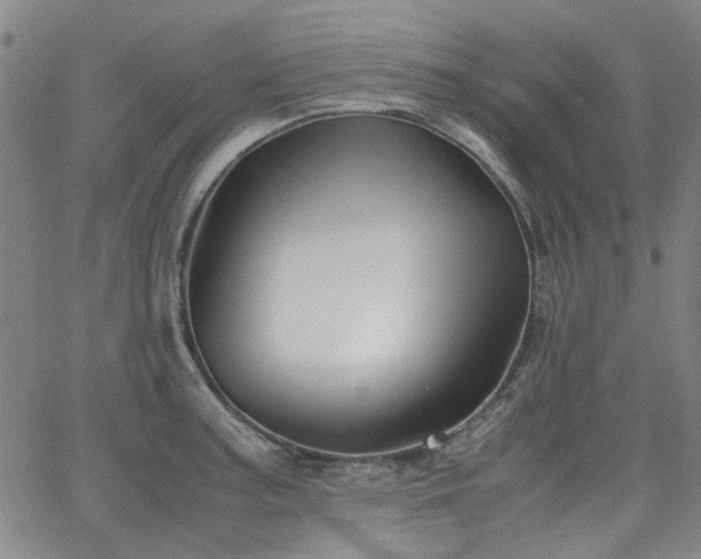 X0000063521187200601201425