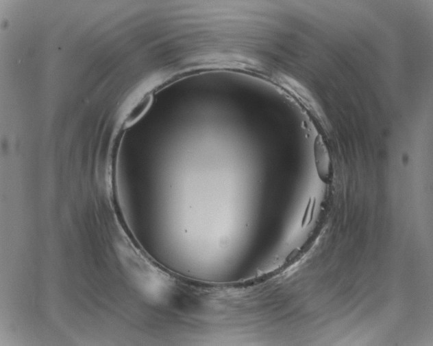 X0000063521188200601201425