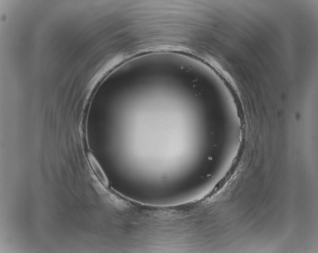 X0000063521189200601201425