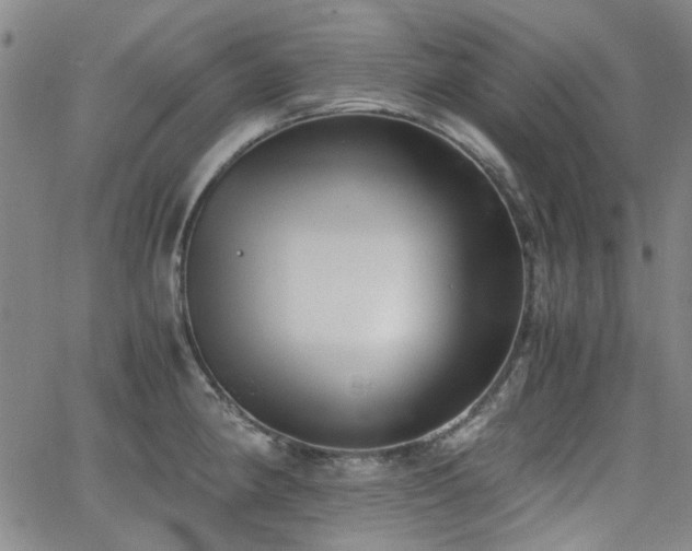 X0000063521190200601201425