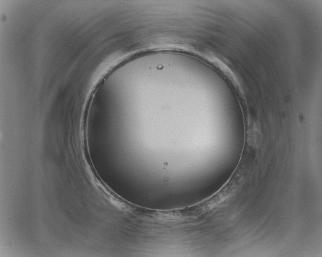 X0000063521191200601201425