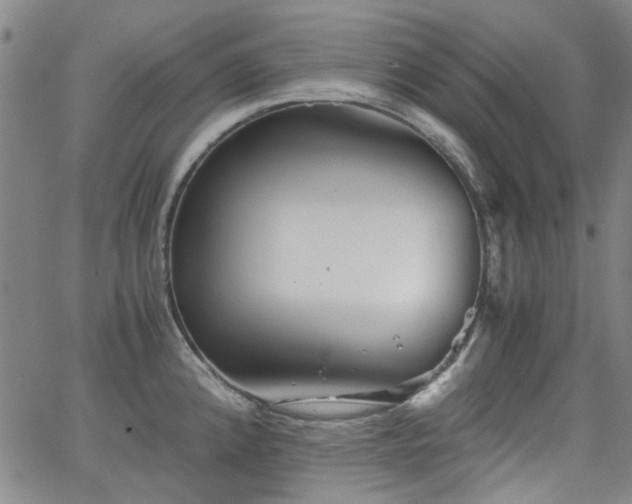 X0000063521192200601201425