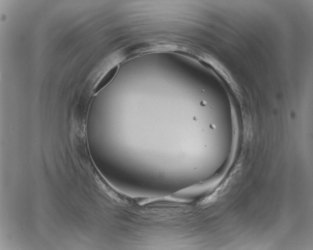 X0000063521193200601201425