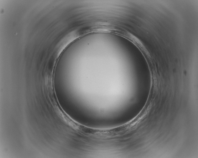 X0000063521194200601201425