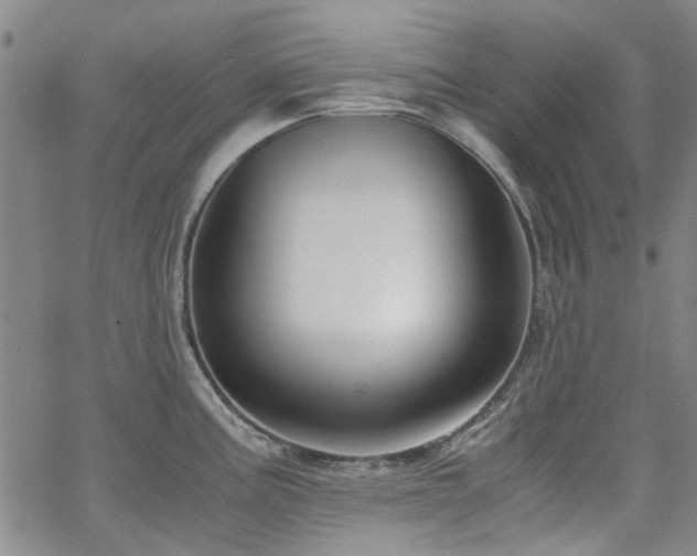 X0000063521195200601201425