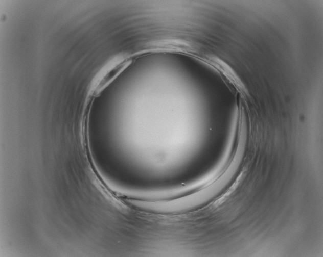 X0000063521196200601201425