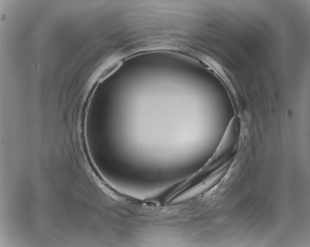 X0000063521197200601201425