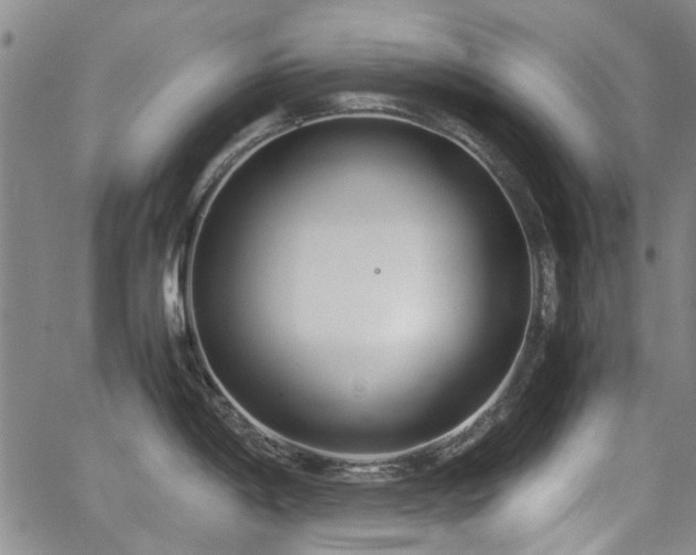 X0000063521198200601201425