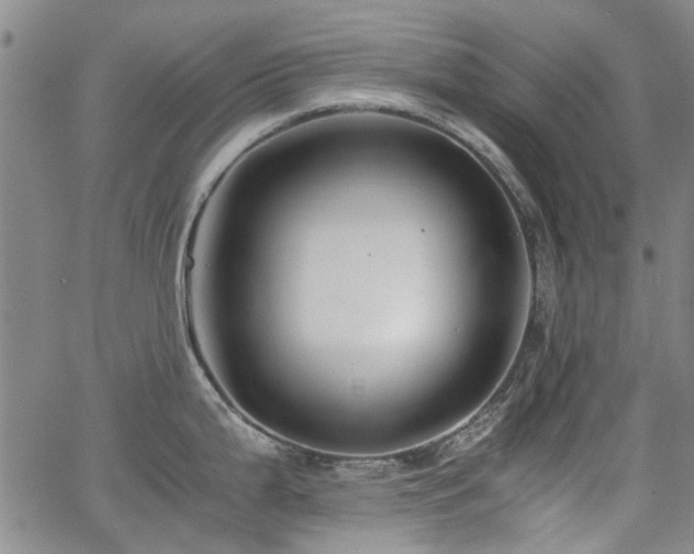 X0000063521199200601201425