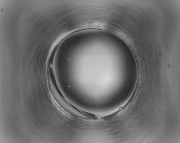 X0000063521200200601201425