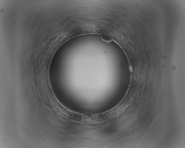 X0000063521201200601201424