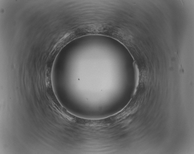 X0000063521202200601201424