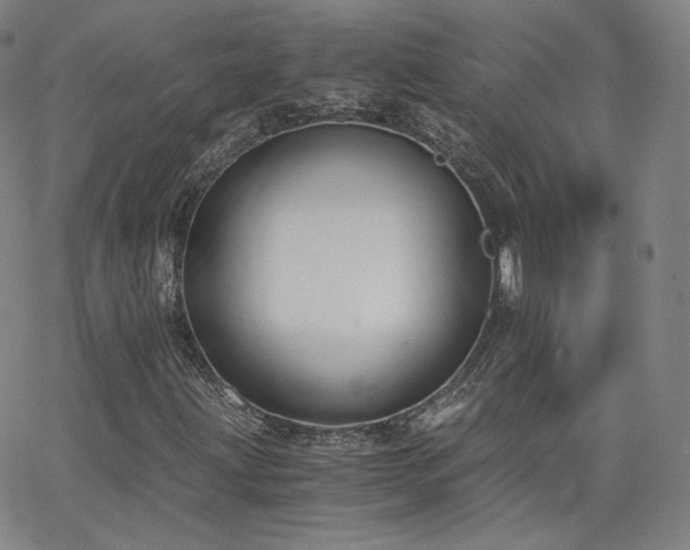 X0000063521203200601201424