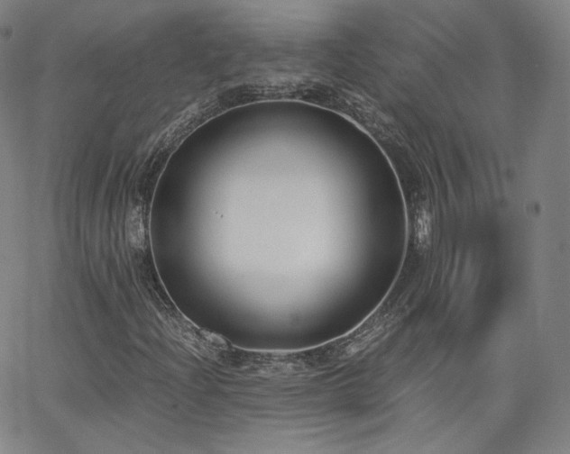 X0000063521204200601201424