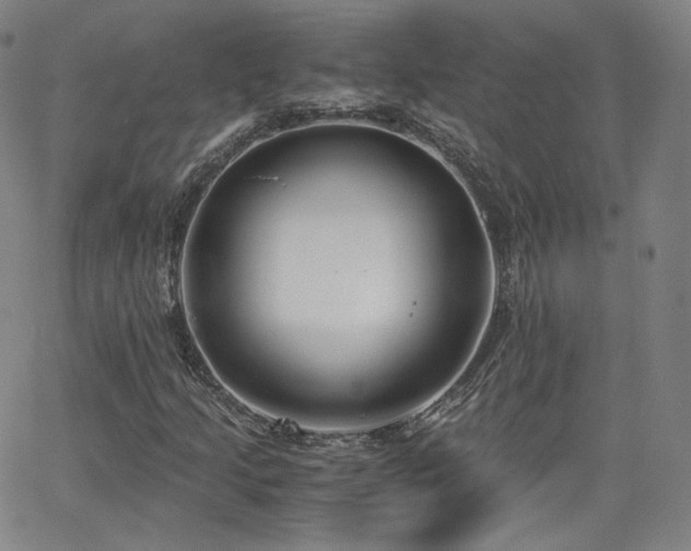 X0000063521205200601201424