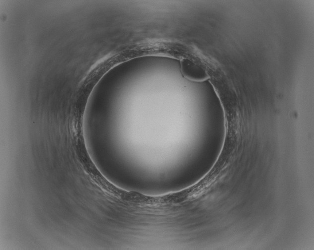 X0000063521206200601201424