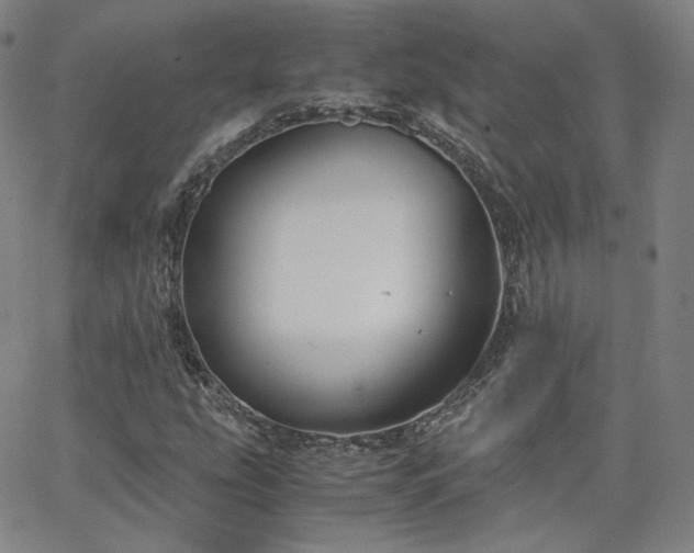 X0000063521207200601201424