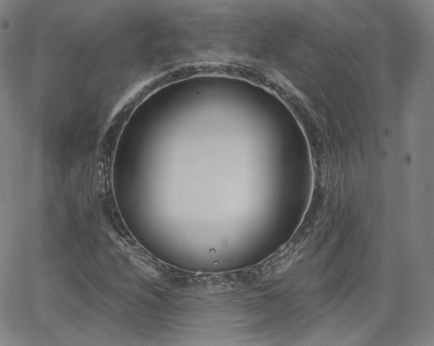 X0000063521208200601201424