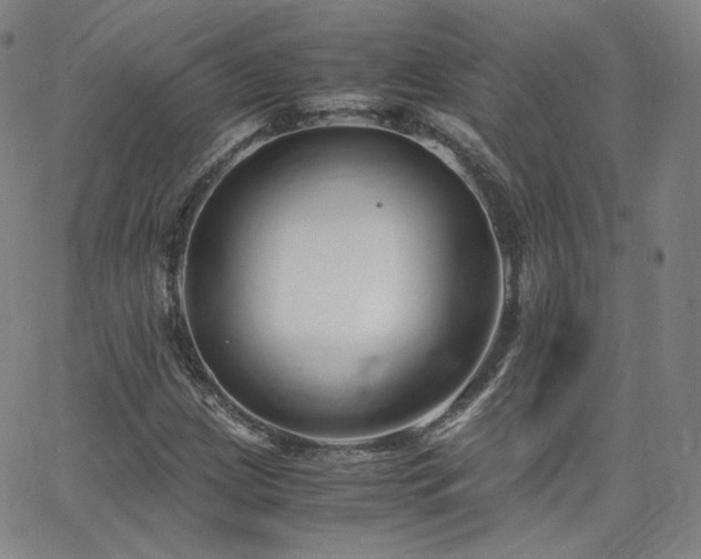 X0000063521209200601201424