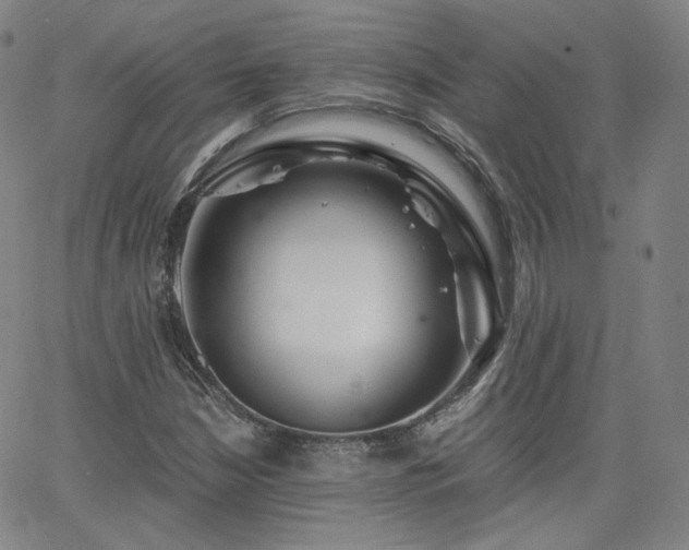 X0000063521210200601201424